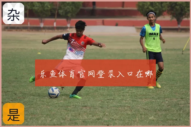 乐鱼体育官网登录入口在哪